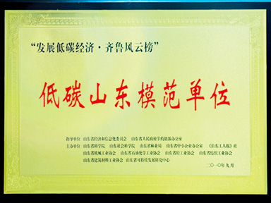 低碳山东圭表单元